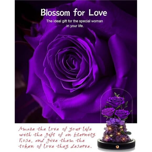 Flowers Roses Gifts for Mom, Forever Real Preserved Roses in Glass Dome - Picture 5 of 7
